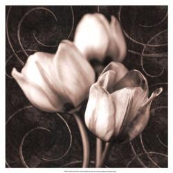 Tulip & Swirls I | Obraz na stenu