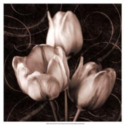 Tulip & Swirls II | Obraz na stenu