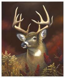 Deer Portrait | Obraz na stenu
