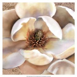 Magnolia Masterpiece II | Obraz na stenu