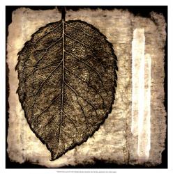Fall Leaves III | Obraz na stenu