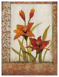 Tulip Inset I | Obraz na stenu