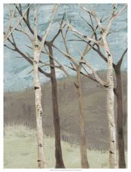 Blue Birches II | Obraz na stenu