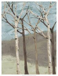 Blue Birches II | Obraz na stenu