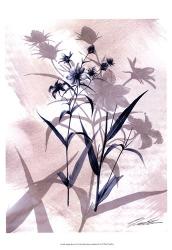 Indigo Bloom IV | Obraz na stenu