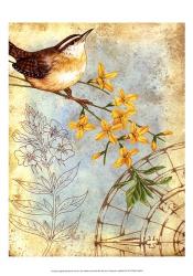 Songbird Sketchbook I | Obraz na stenu