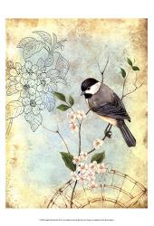 Songbird Sketchbook II | Obraz na stenu