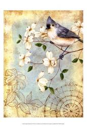 Songbird Sketchbook IV | Obraz na stenu