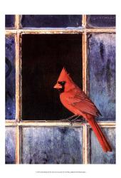 Cardinal Window | Obraz na stenu