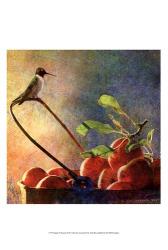 Apples & Hummer | Obraz na stenu