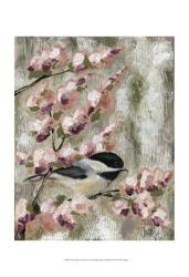Cherry Blossom Bird I | Obraz na stenu