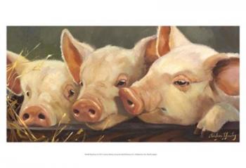 Pig Heaven | Obraz na stenu