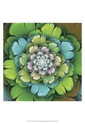 Fractal Blooms I | Obraz na stenu