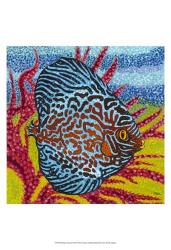 Brilliant Tropical Fish II | Obraz na stenu