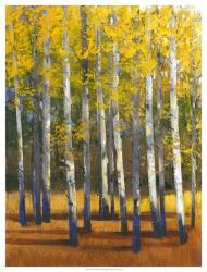 Fall in Glory II | Obraz na stenu