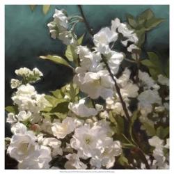 White Roses III | Obraz na stenu