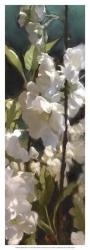 White Roses V | Obraz na stenu