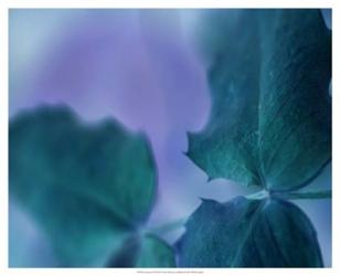 Intricacies II | Obraz na stenu