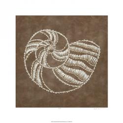 Embroidered Shells II | Obraz na stenu