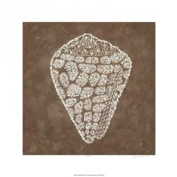 Embroidered Shells IV | Obraz na stenu