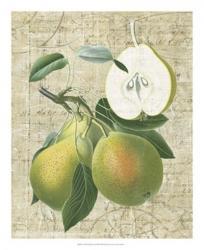 Orchard Medley II | Obraz na stenu