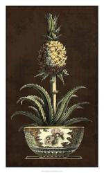 Potted Pineapple II | Obraz na stenu