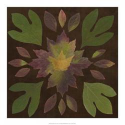 Kaleidoscope Leaves I | Obraz na stenu