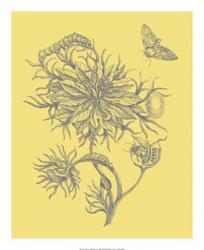 Nature's Optimism II | Obraz na stenu
