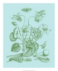 Spring Cyclamen I | Obraz na stenu