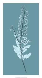 Aqua Nature Study III | Obraz na stenu