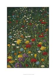 Bright Wildflower Field I | Obraz na stenu