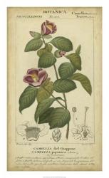 Floral Botanica III | Obraz na stenu