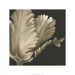 Classical Blooms I | Obraz na stenu