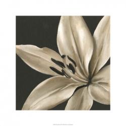 Classical Blooms III | Obraz na stenu