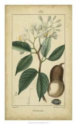 Vintage Turpin Botanical I | Obraz na stenu