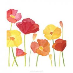 Simply Poppies I | Obraz na stenu