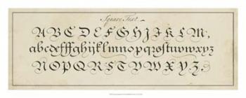 Manuscript Sampler III | Obraz na stenu