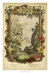 Genesis Fruits II | Obraz na stenu
