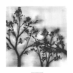 Silvery Trees I | Obraz na stenu