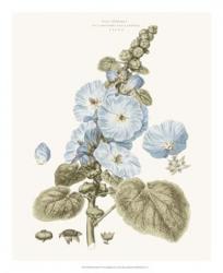 Bashful Blue Florals IV | Obraz na stenu