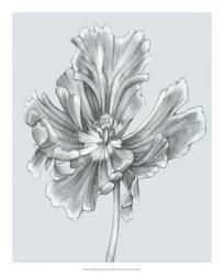 Silvery Blue Tulips III | Obraz na stenu