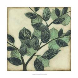 Graphic Leaves I | Obraz na stenu