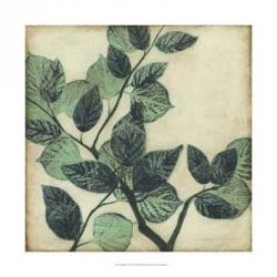Graphic Leaves II | Obraz na stenu