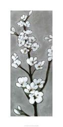 White Blossoms I | Obraz na stenu