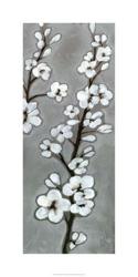 White Blossoms II | Obraz na stenu
