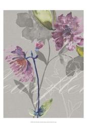 Violette Fleur II | Obraz na stenu