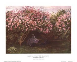Resting under the Lilacs | Obraz na stenu