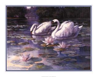 Swans and Bridge | Obraz na stenu