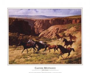 Canyon Mustangs | Obraz na stenu