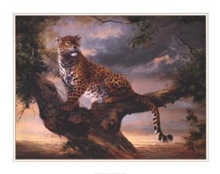 Leopard In Tree | Obraz na stenu